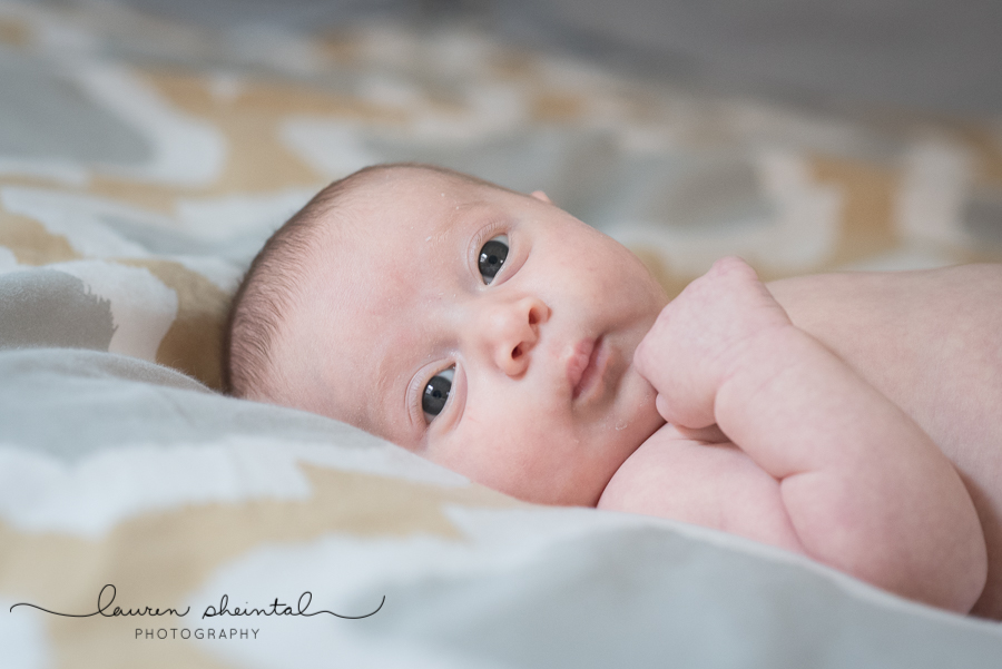 Rockville Newborn Photographer, Bethesda Newborn Photographer, Gaithersburg Newborn Photographer, Lifestyle Newborn, Maryland Photographer