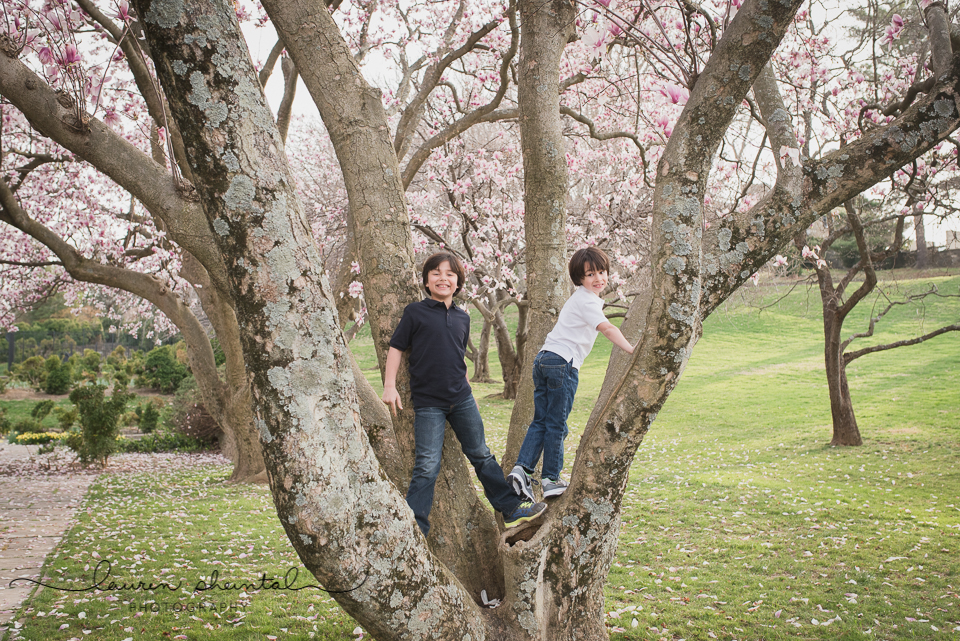 Rockville Family Photographer, Rockville Child Photographer, Spring Family Pictures, Cherry Blossoms, Gaithersburg Family Photographer, Gaithersburg Child Photographer