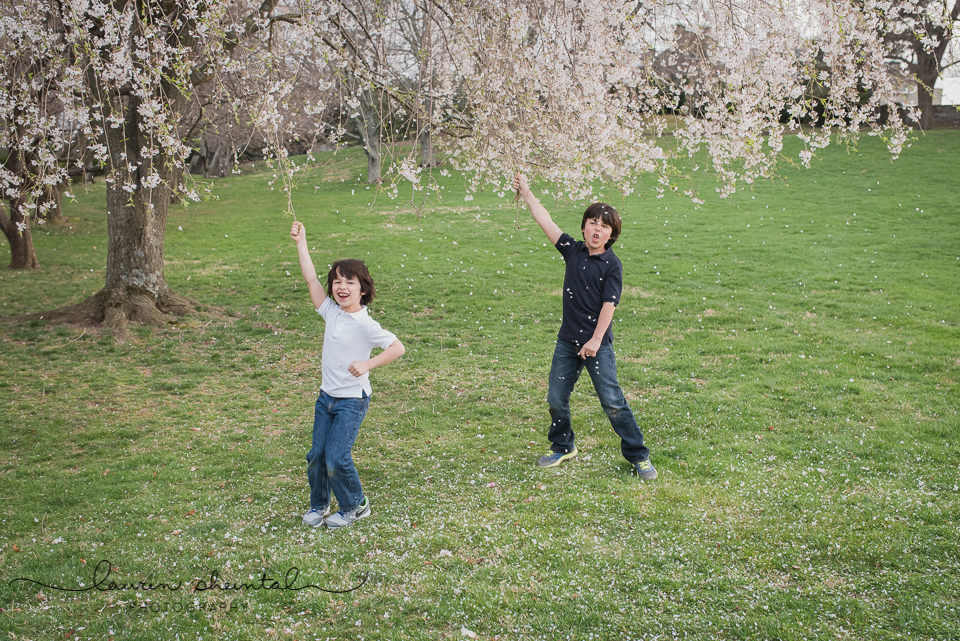 Rockville Family Photographer, Rockville Child Photographer, Spring Family Pictures, Cherry Blossoms, Gaithersburg Family Photographer, Gaithersburg Child Photographer