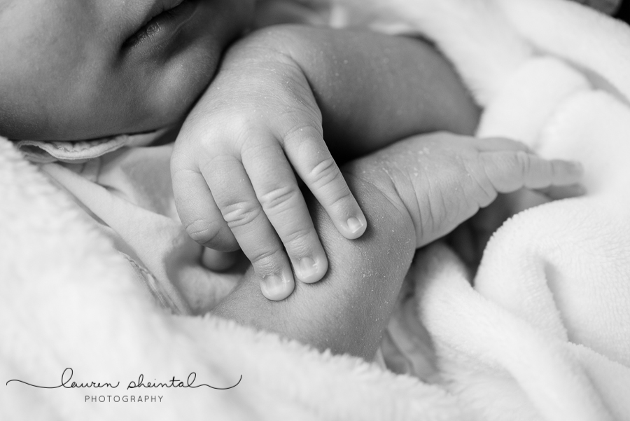 college park newborn photographer, maryland newborn photographer, lifestyle photographer, newborn photographer, newborn