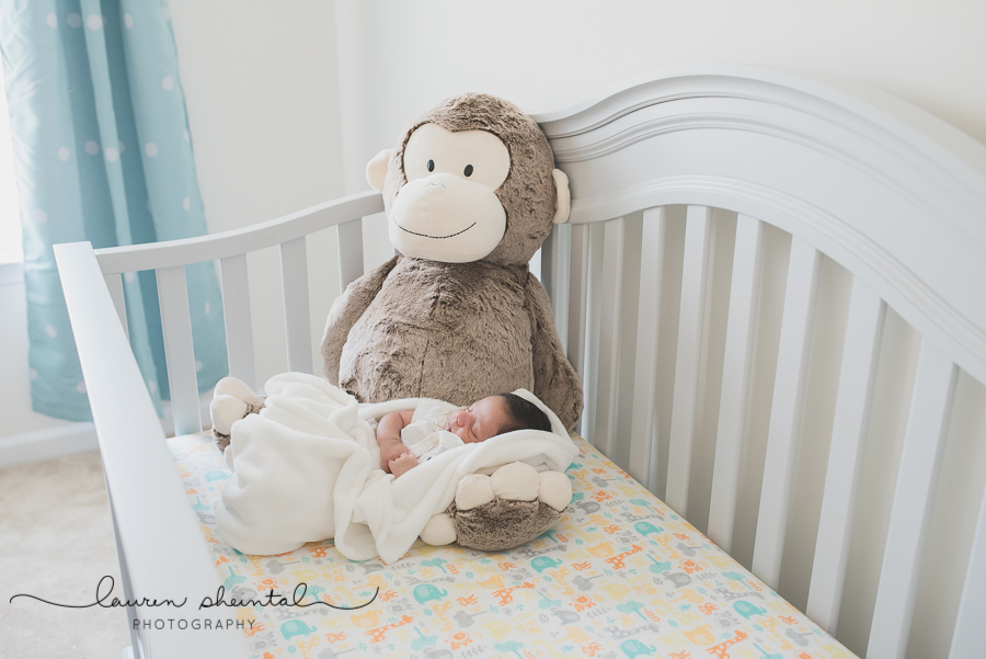 college park newborn photographer, maryland newborn photographer, lifestyle photographer, newborn photographer, newborn