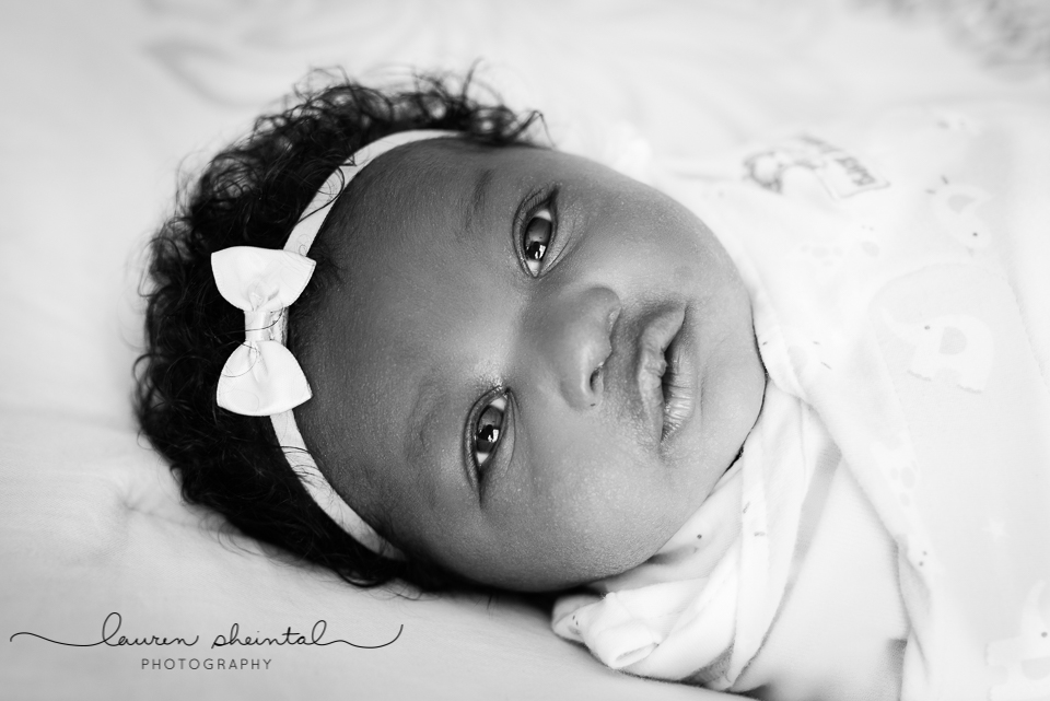 Germantown Newborn Photographer, Maryland Newborn Photographer, Gaithersburg Newborn Photographer, Rockville Newborn Photographer